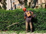 57469_Helion_Pole_bei_der_Arbeit_v01_1200x1200